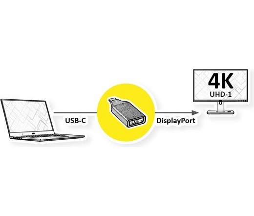 ROLINE Adapter Type-C - DisplayPort v1.2 M/F