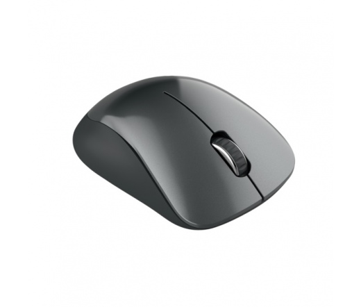 CANYON MW-11 Wireless Optical Mouse With Pixart Sensor - Black