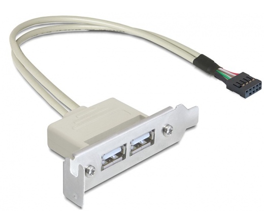 DELOCK Slot bracket USB 2.0 low profile 2 port