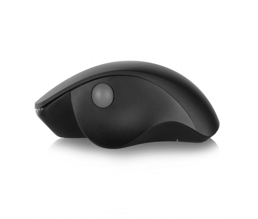 Ewent EW3151 Wireless Ergonomic mouse Black