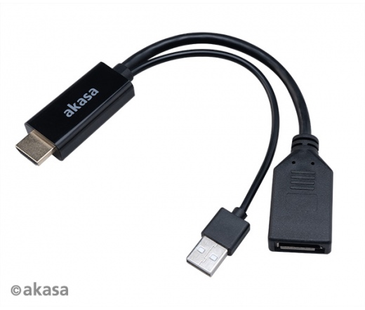 AKASA HDMI to DisplayPort Adapter cable