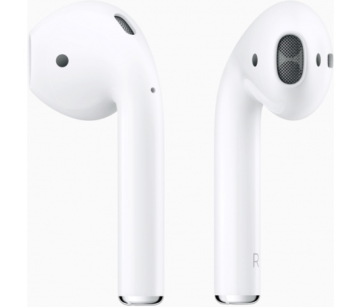 APPLE AirPods2 with Charging Case