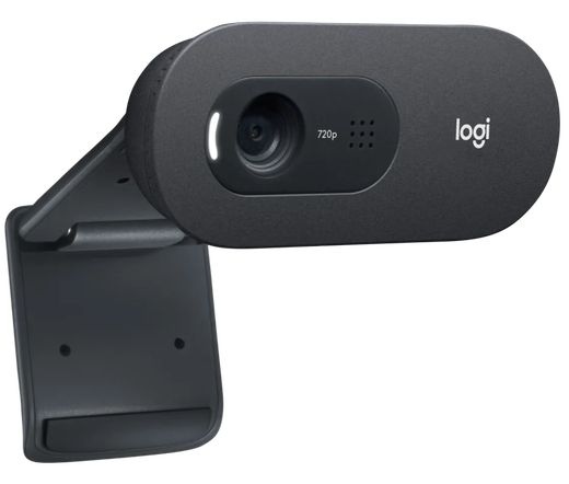 Logitech C505E - BLK - WW .