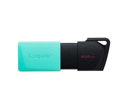 KINGSTON DataTraveler Exodia M USB-A 3.2 Gen 1 256GB