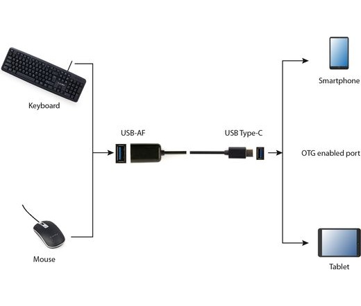 GEMBIRD USB 2.0 OTG Type-C apa Type-A anya