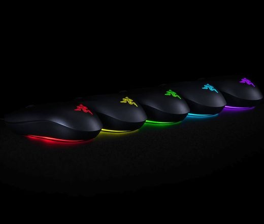 Razer Mouse Abyssus Essential