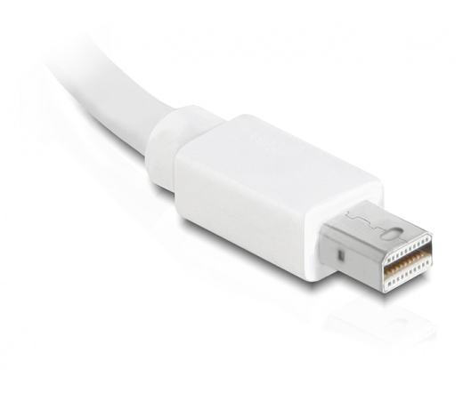 DELOCK Adapter mini Displayport > DVI 24+5 pin female (65129)