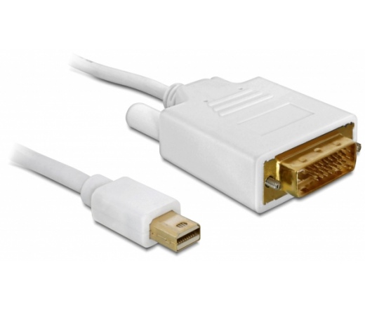 DELOCK Cable Displayport mini male > DVI 24pin male 2m (82918)