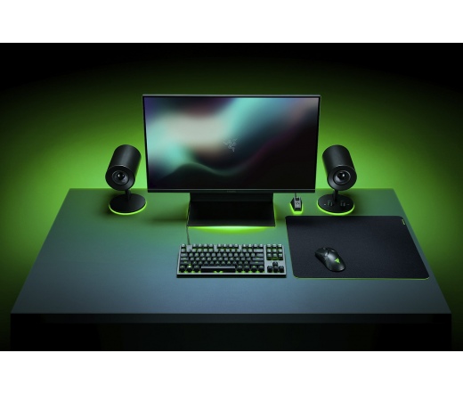 EGÉRPAD RAZER Gigantus V2 Large