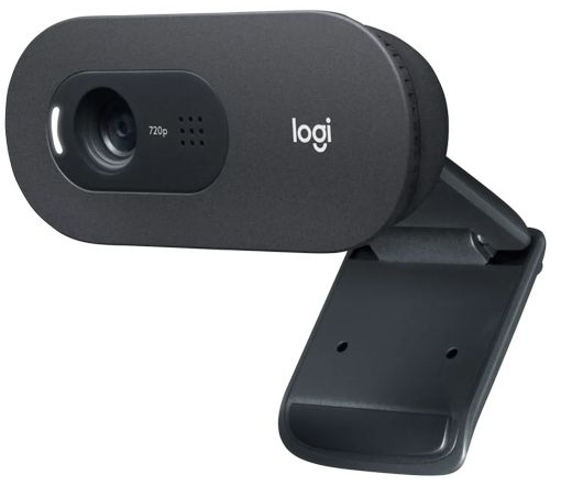 LOGITECH C505 HD Webcam - BLACK - EMEA