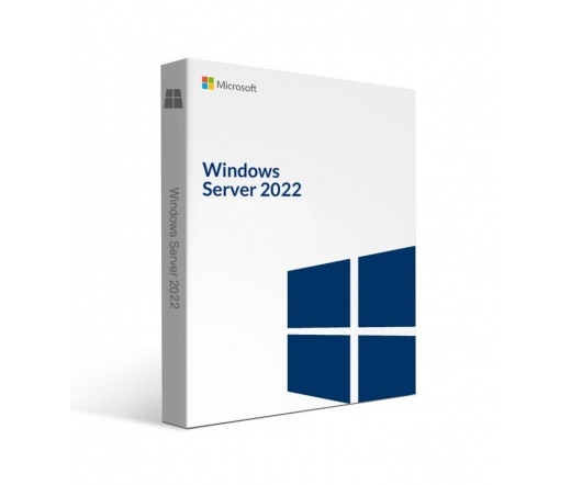 Microsoft Windows Server CAL 2022 English 1pk DSP OEI 5 Clt Device CAL