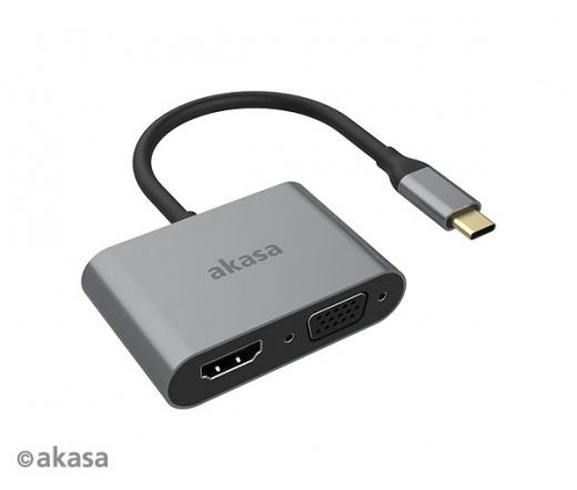 Akasa USB Type-C 2in1 adapter Silver