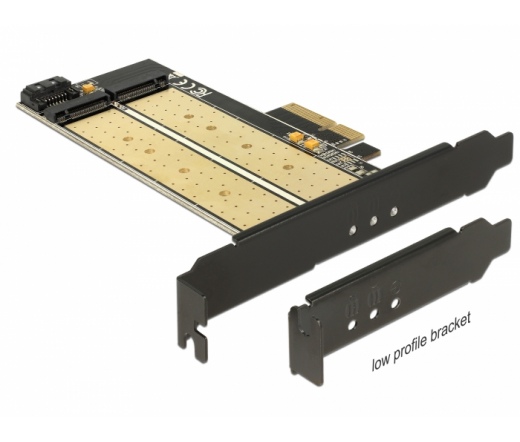 DELOCK PCIe-Card x4 > M2 KeyB + NVMe M.2 KeyM LowProfile