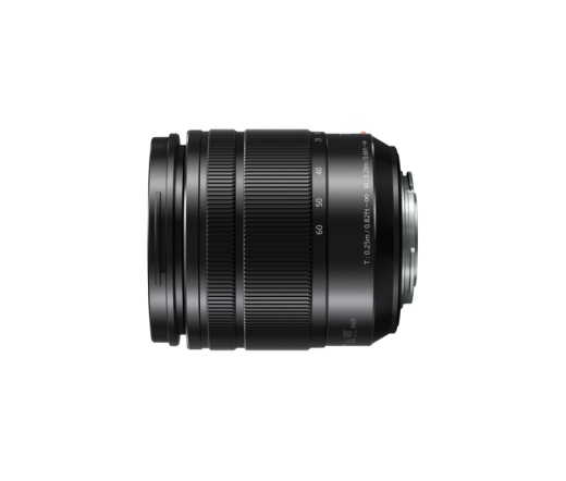 PANASONIC Lumix G Vario 12-60mm f/3,5-5,6 ASPH Power O.I.S. fekete