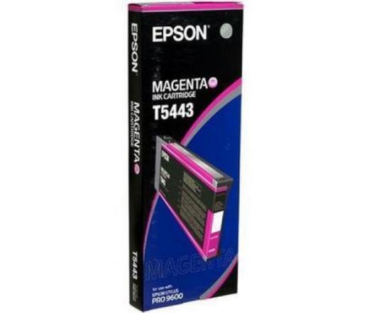 Patron Epson T5443 Magenta