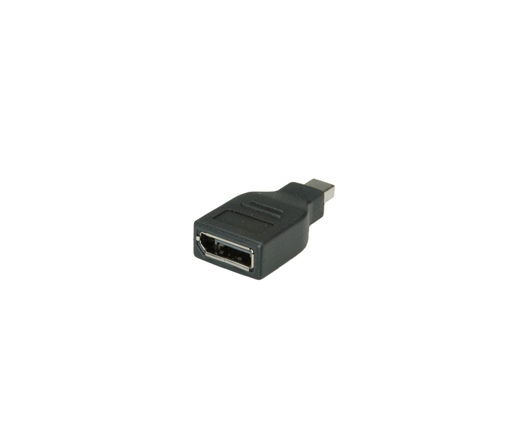 Cable ROLINE Adapter DisplayPort - mini DisplayPort F/M