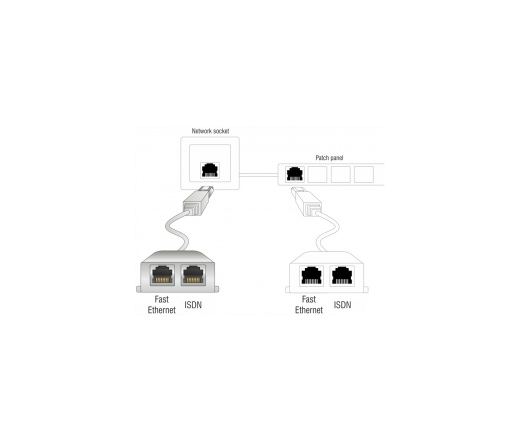 Delock RJ45 Port Doubler 1 x RJ45 male > 2 x RJ45 female (2 x ISDN)