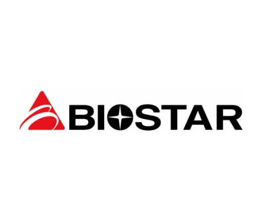 BIOSTAR AX200 Network antenna